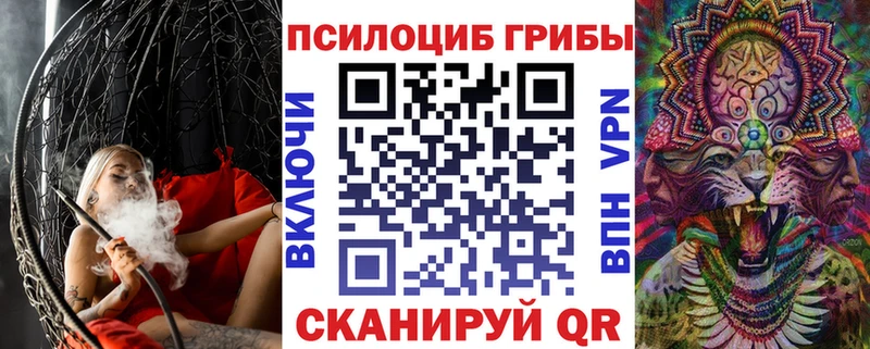 Псилоцибиновые грибы Cubensis KRAKEN вход Хотьково